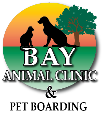 Bay Animal Clinic & Pet Boarding